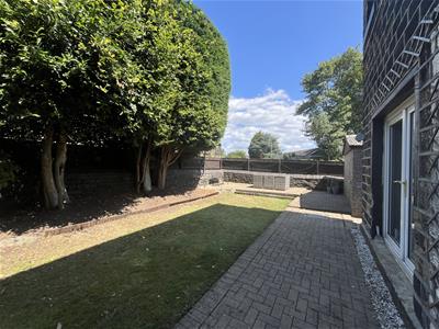 Picture 23